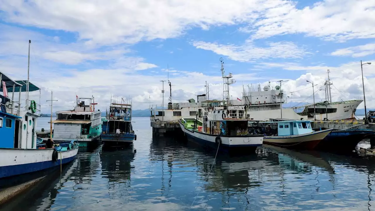 KKP Tangkap 8 Kapal Nakal, Cari Ikan di Luar Zona Penangkapan