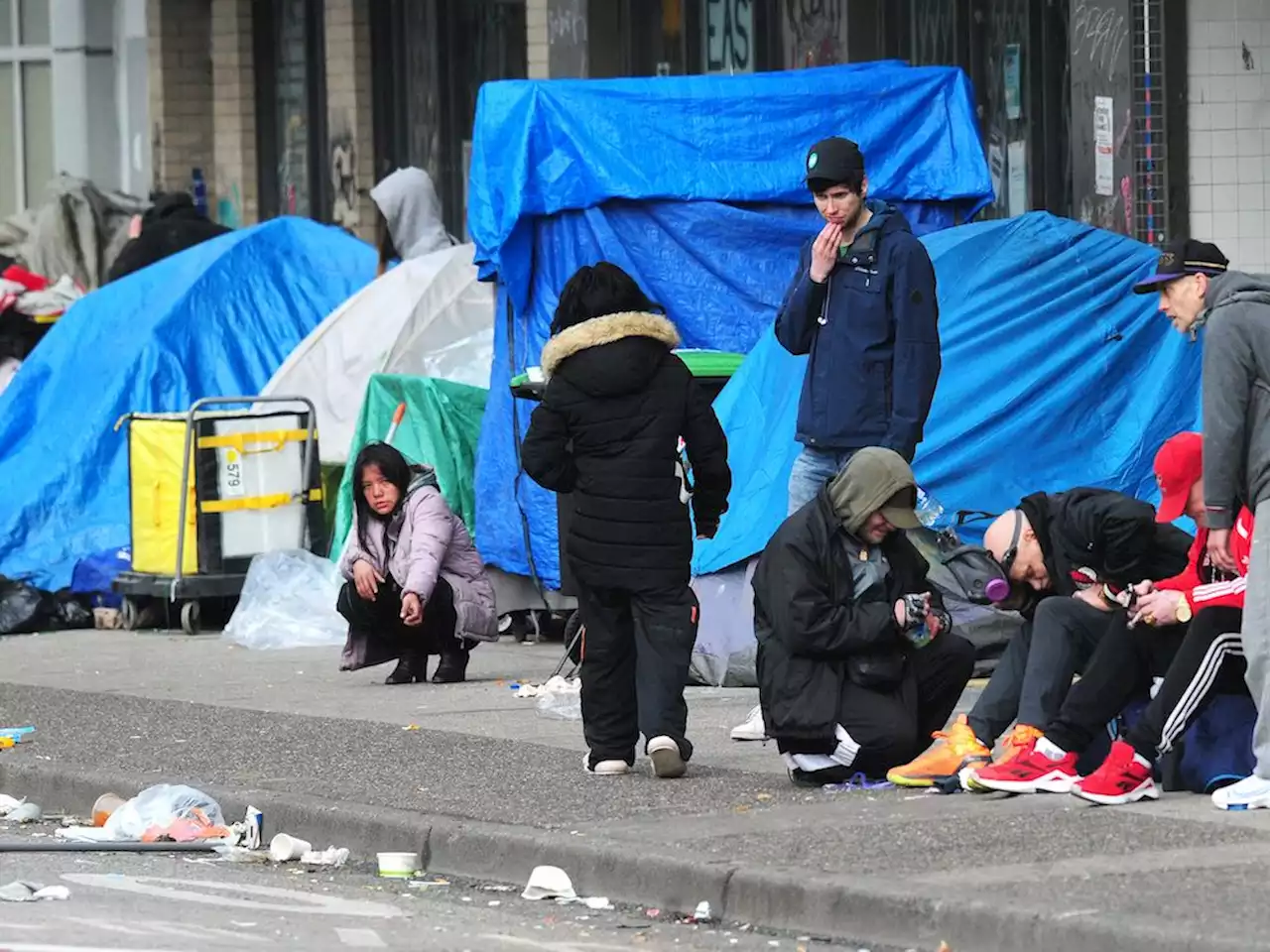 Adam Pankratz: Politicians cower as homeless camps take over Canadian cities