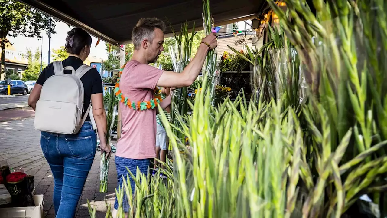 Deelnemers 'huilen van de kou' op laatste dag Vierdaagse