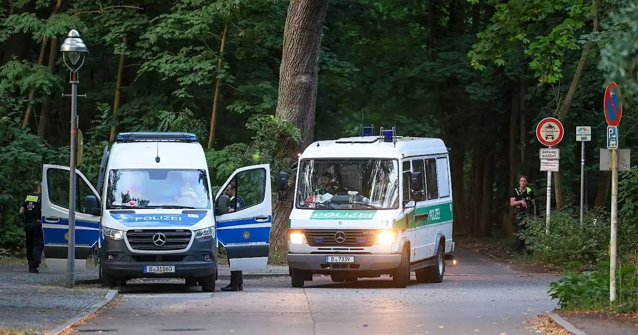 Raubkatzen-Alarm: Polizei setzt Suche fort