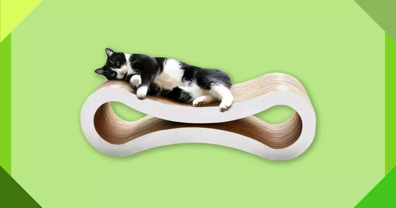 The Best Gifts for Cat Lovers, According to Cat Behaviorists and Enthusiasts