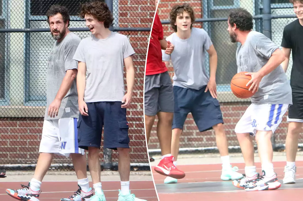 Adam Sandler, Timothée Chalamet spotted playing pickup basketball game in NYC