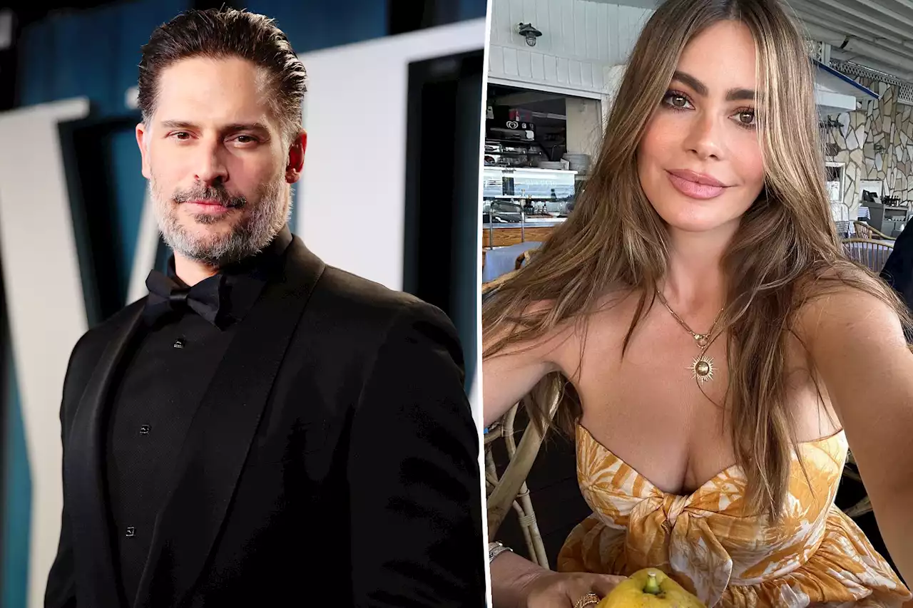 Joe Manganiello’s intense desire to have kids led to Sofía Vergara divorce: source