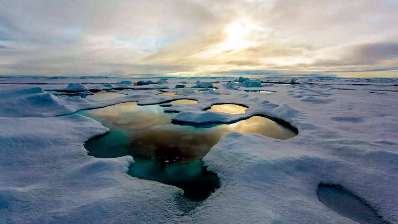 Groenlandia vivió una etapa de deshielo y será mucho más vulnerable de lo que se pensaba al cambio climático | Datos reveladores