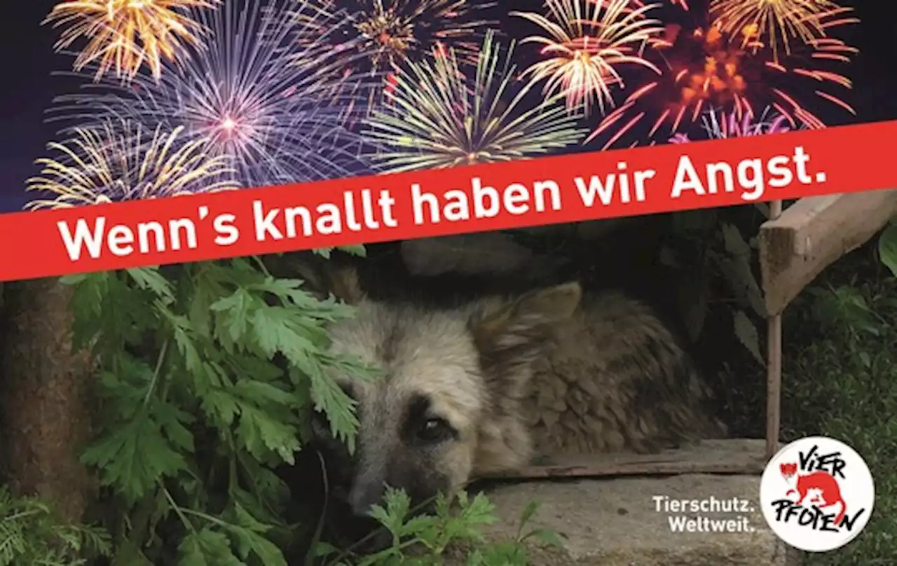 Am Nationalfeiertag haben Tiere nichts zu feiern