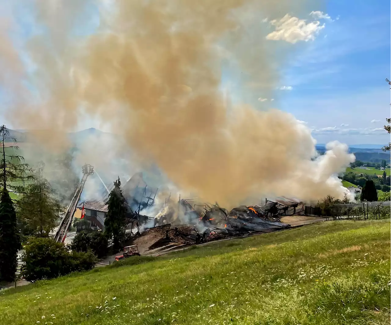 Bauernhaus brennt in Rechthalten FR: Fünf Helfer verletzt, elf Kälber tot