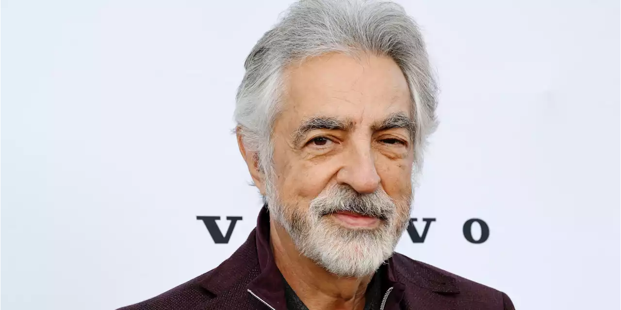 ‘Criminal Minds: Evolution’ Fans Congratulate Joe Mantegna on His Surprise Career Announcement