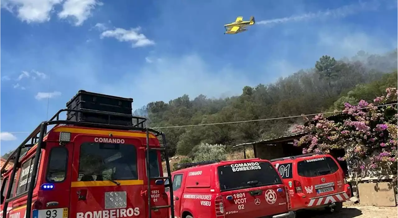 JMJ não desviam meios de combate a incêndios