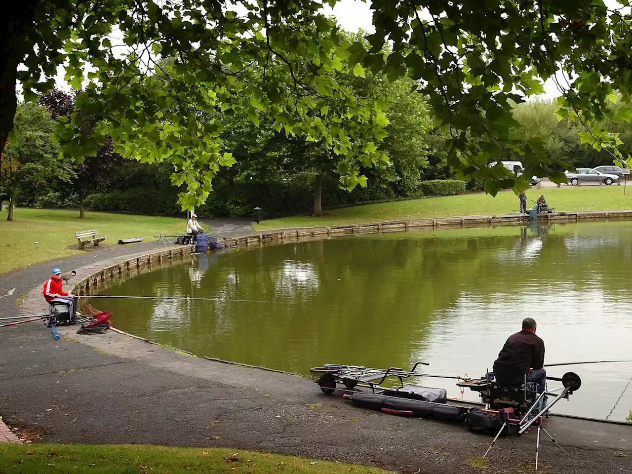 Outbreak of fish herpes virus detected at Telford angling pools