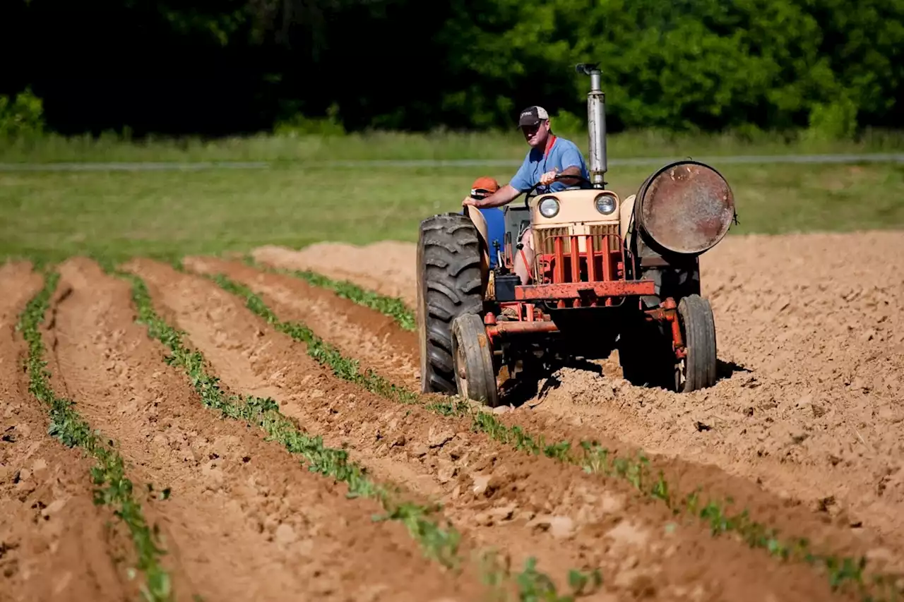 Mental health of Ontario farmers suffering as stressors soar