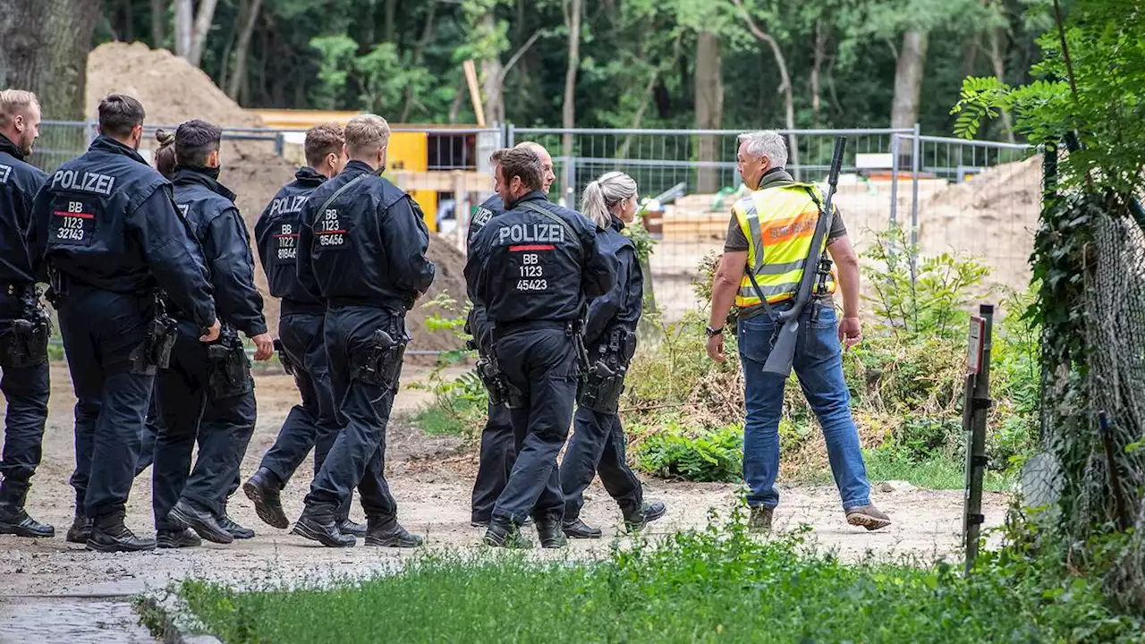 Lejonjakt avblåst i Berlin – tros varit vildsvin