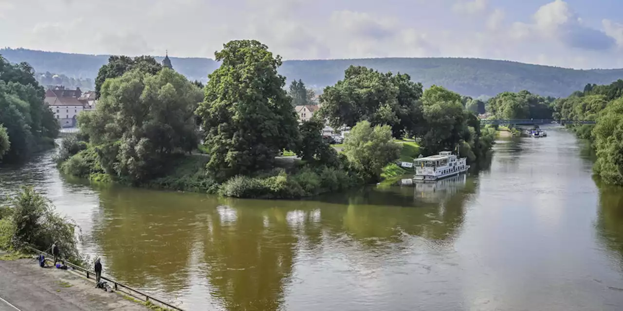 Industrieabwässer in Flüssen: Sorge um Fische in Werra und Weser