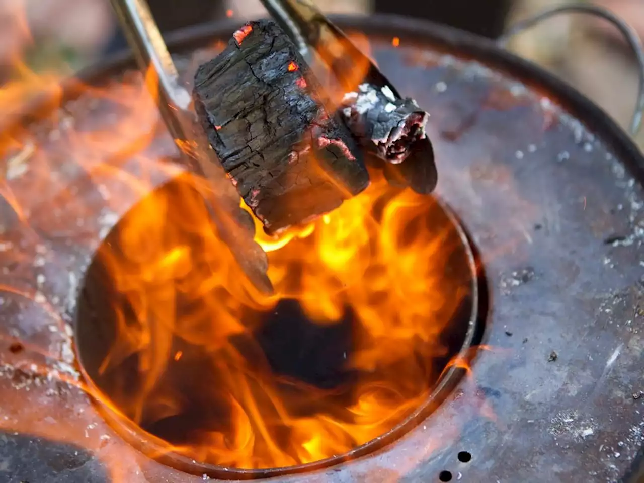 A Canadian cleantech startup sees a big future in biochar, but it can be high risk