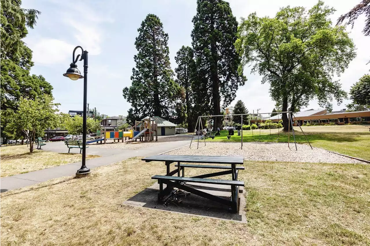 Bylaw prohibiting sheltering in some Victoria parks on hold