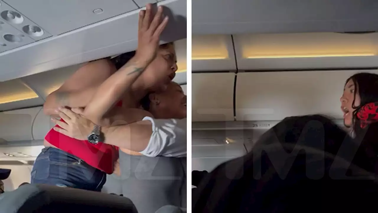 Frontier Airline Passengers Getting Physical With Flight Attendants in New Video