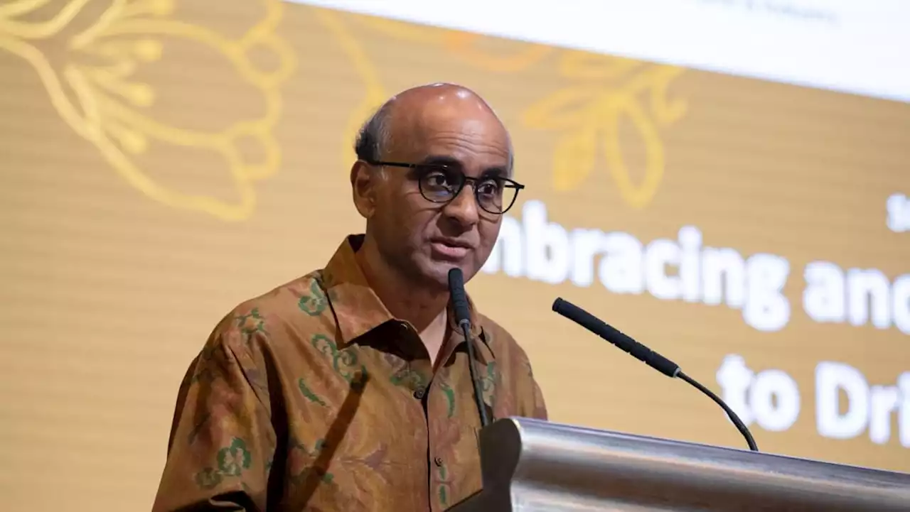 Some regional leaders describe S'pore as 'Chinese-dominant' society for political reasons; people shouldn't overreact: Tharman