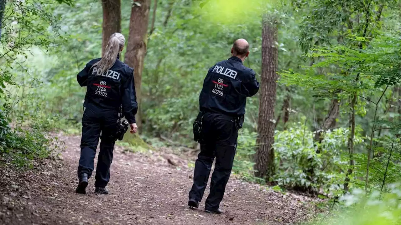 polizei gibt entwarnung: wohl doch keine löwin in kleinmachnow