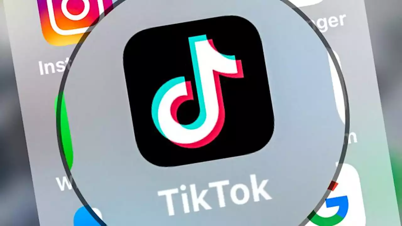 Französischer Senat droht mit Tiktok-Verbot