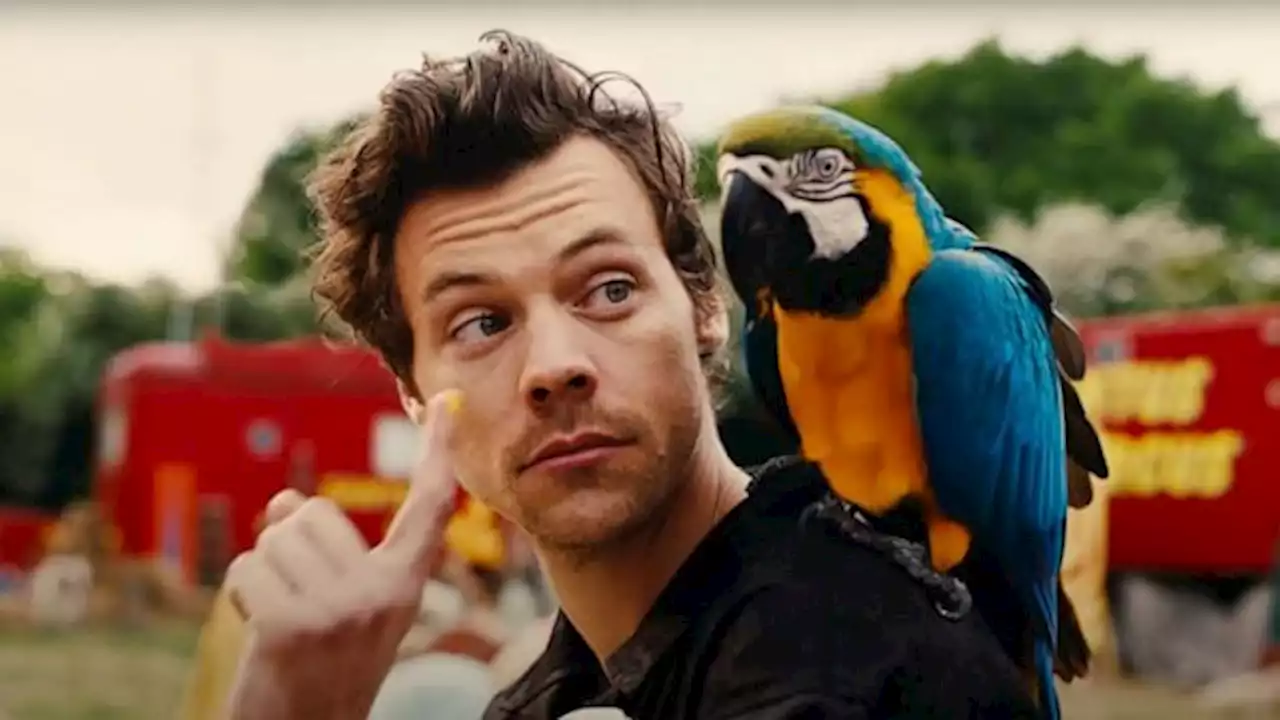 See Harry Styles go to the circus in new 'Daylight' video