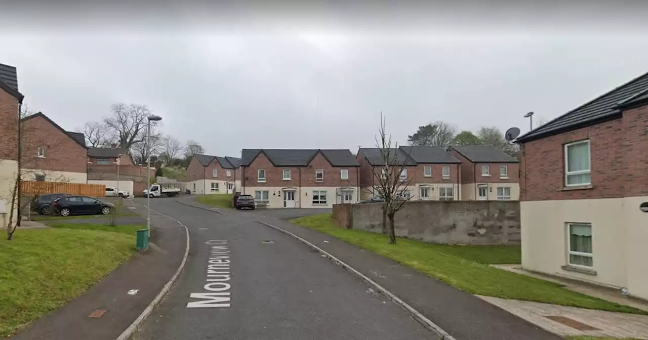 Man arrested after 'extensive damage' caused to house during fire in Belfast