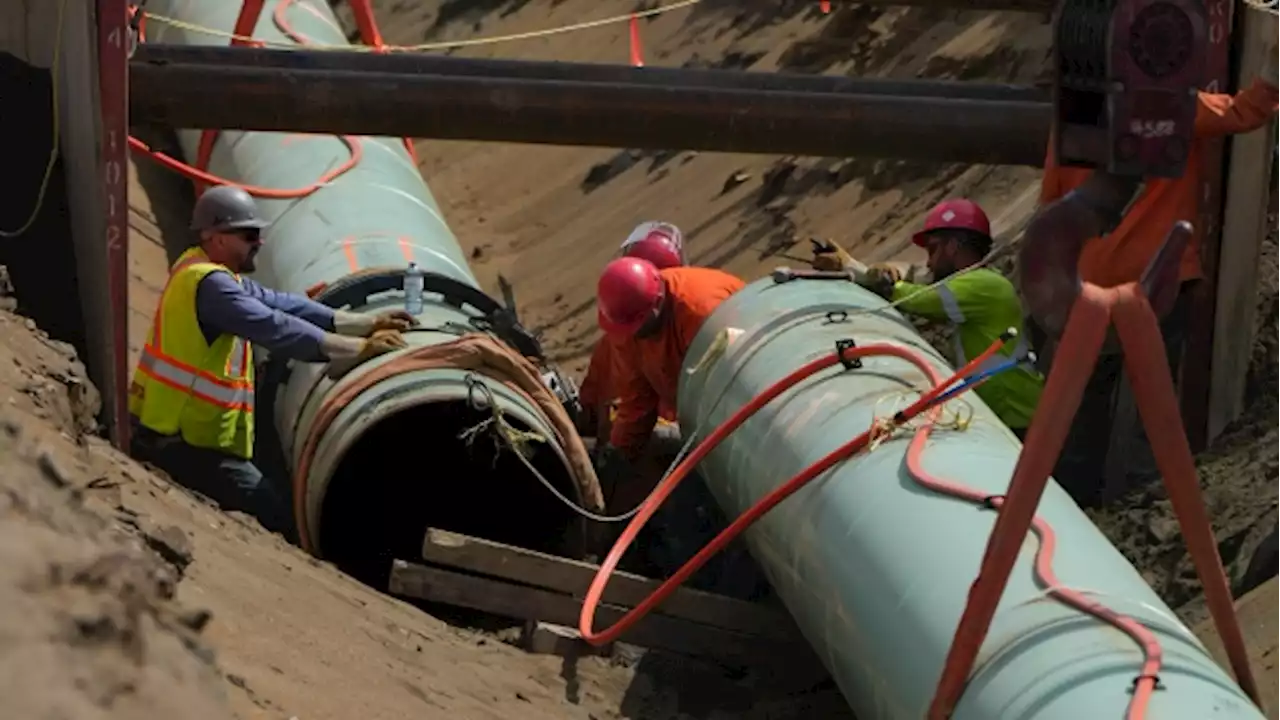 Government expected to take losses in Trans Mountain project, expert says - BNN Bloomberg