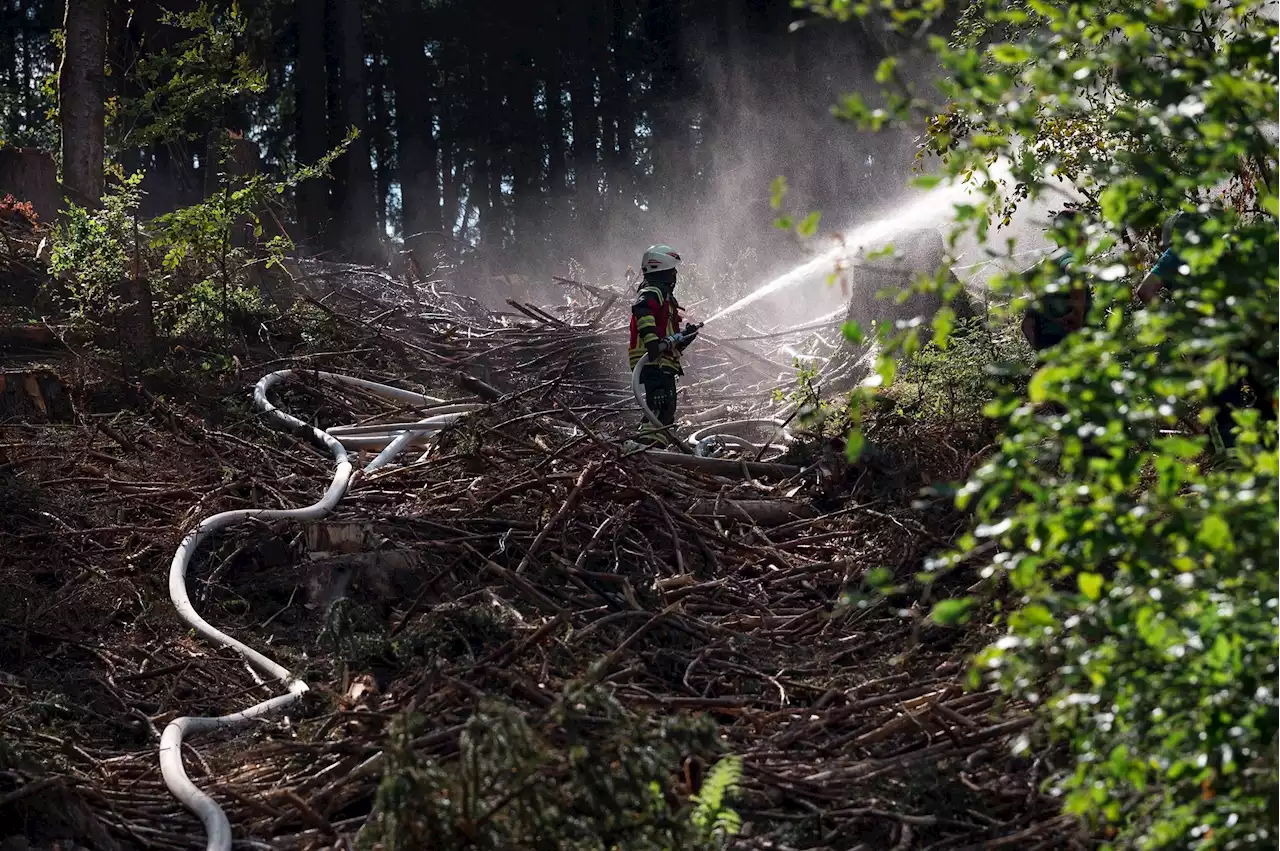 Feuer zerstört mehrere Hektar Feld und greift auf Wald über