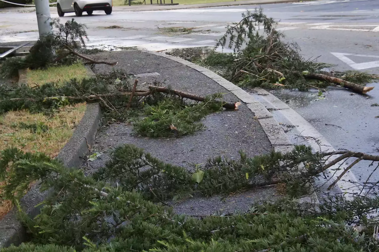 Verletzte und schwere Schäden bei Unwetter in Italien