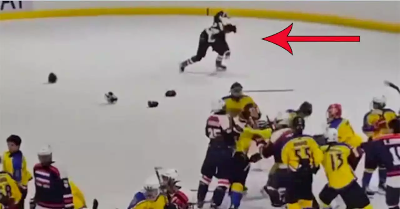 WATCH: Crazy Fight Erupts in Hockey Handshake Line, One Player Fights Imaginary Opponent