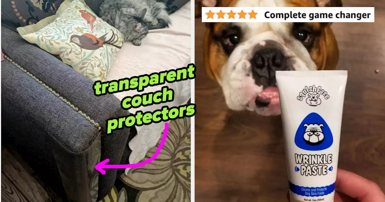 32 Pet Items You Probably Haven’t Replaced Since Last Summer (But Seriously, It’s Time)