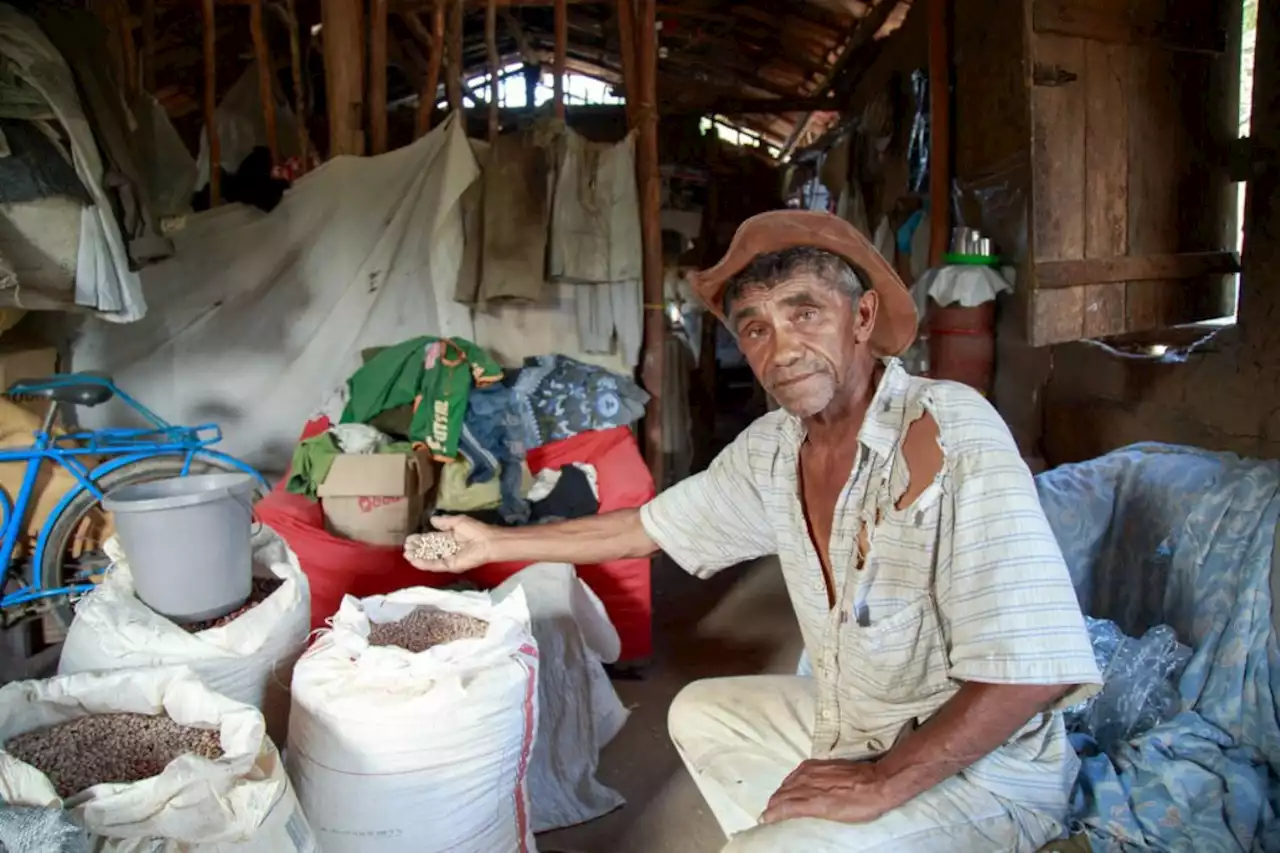 Todos pelo fim da fome – Opinião – CartaCapital