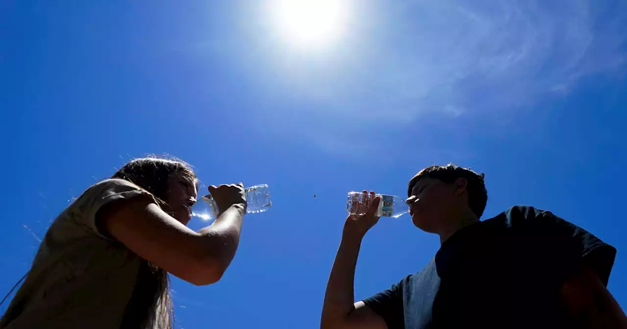 Phoenix residents ration air conditioning, fearing future electric bills, as record-breaking heat turns homes into 'air fryers'