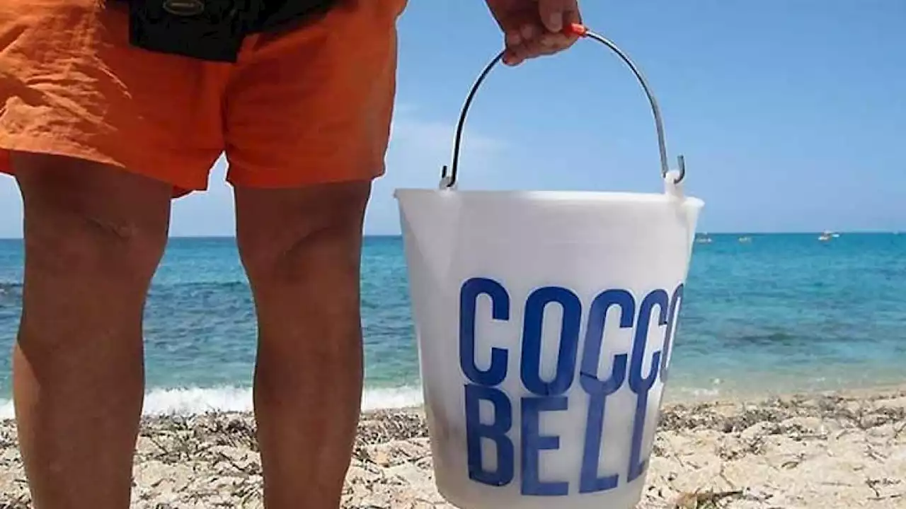 Venditore abusivo di cocco in Riviera. È recidivo: deve pagare 50mila euro di multe