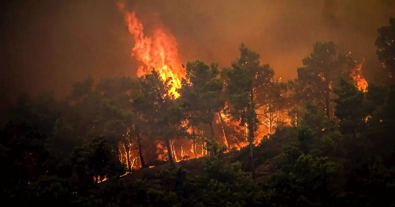 Huge wildfire burns in Rhodes as tourists flee hotels and resorts evacuated