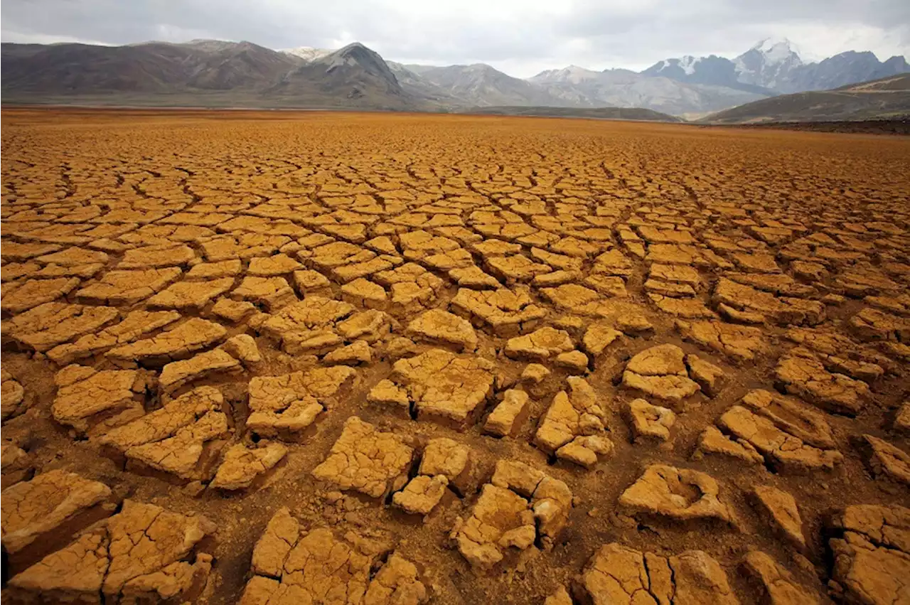 Tendencias sostenibles para hacer frente a la crisis ambiental