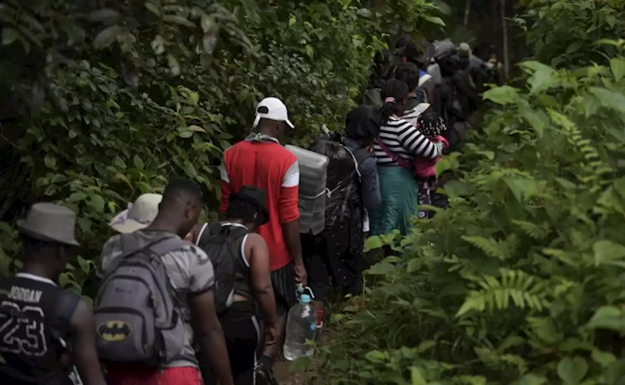 Panamá prevé nuevo récord de migrantes que cruzan selva del Darién