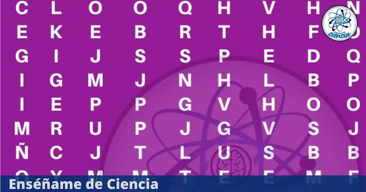 Test visual: ¿Ubicas la palabra FOTOGRAFÍA en la sopa de letras? Tienes 5 segundos