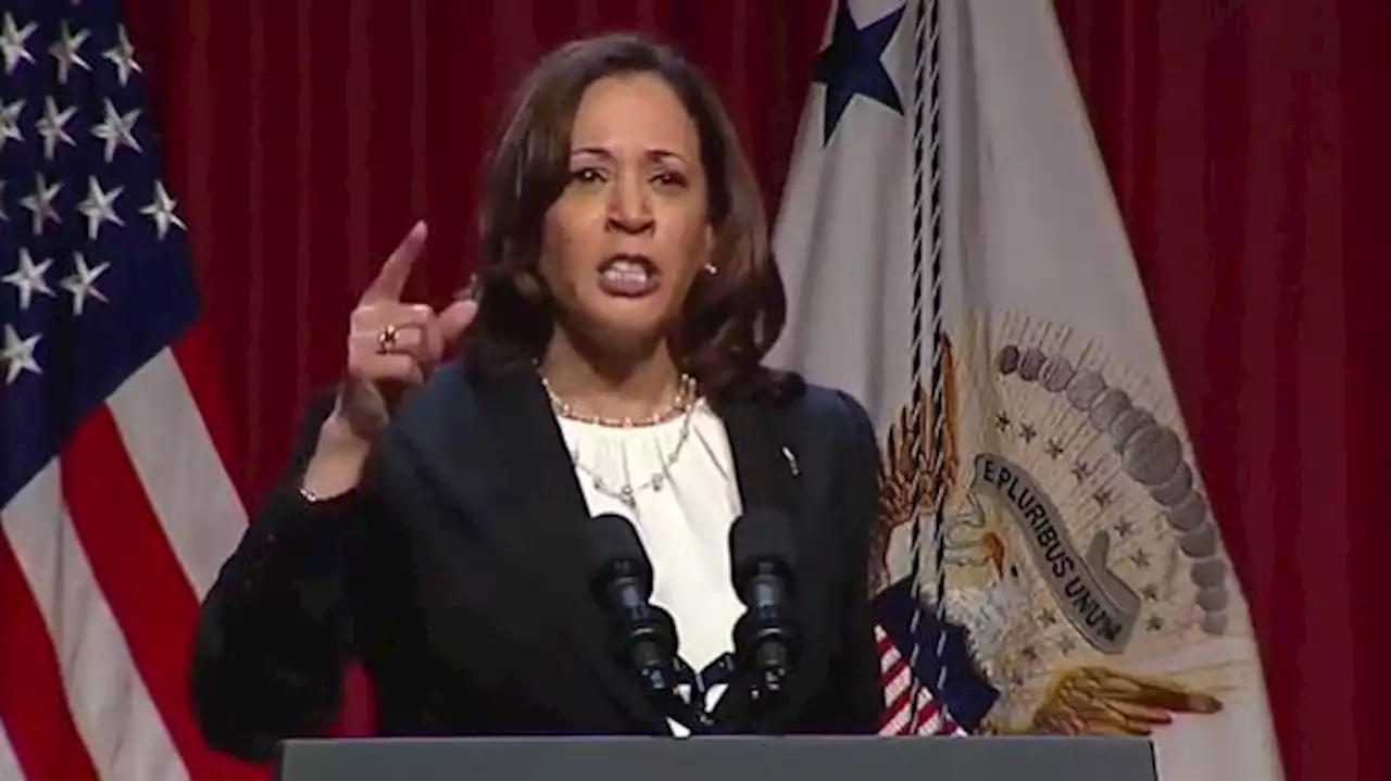 Critics unleash on Kamala Harris' 'evil,' 'astonishing lie' about Florida's school curriculum on slavery