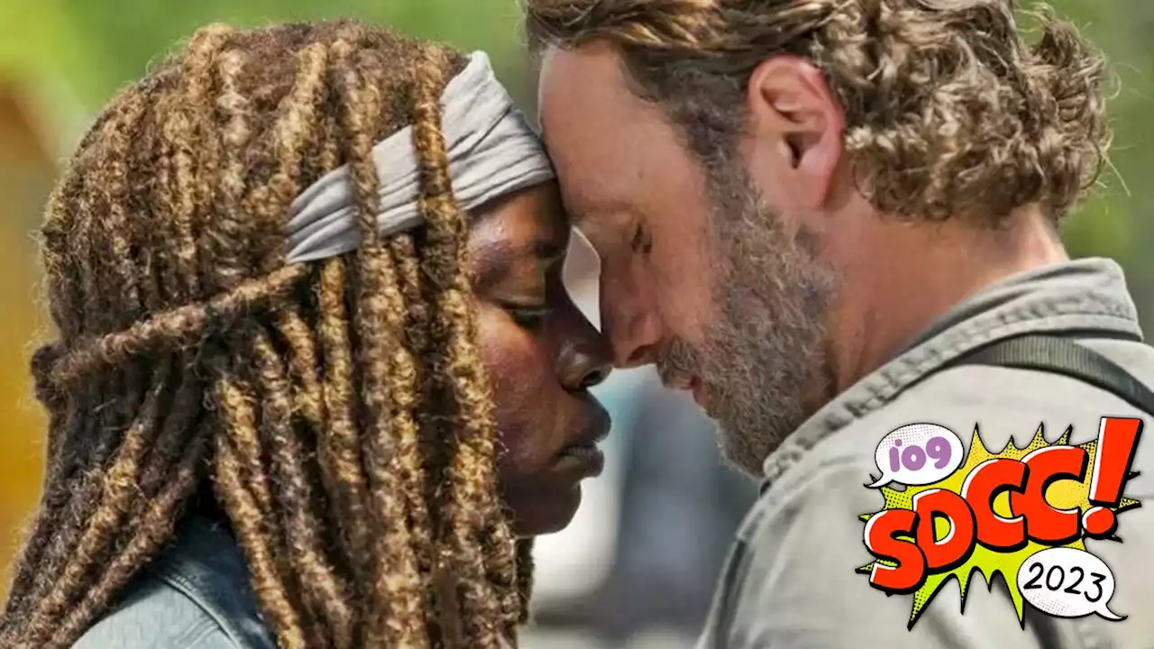 The Walking Dead Finally Reveals Rick & Michonne's Miniseries