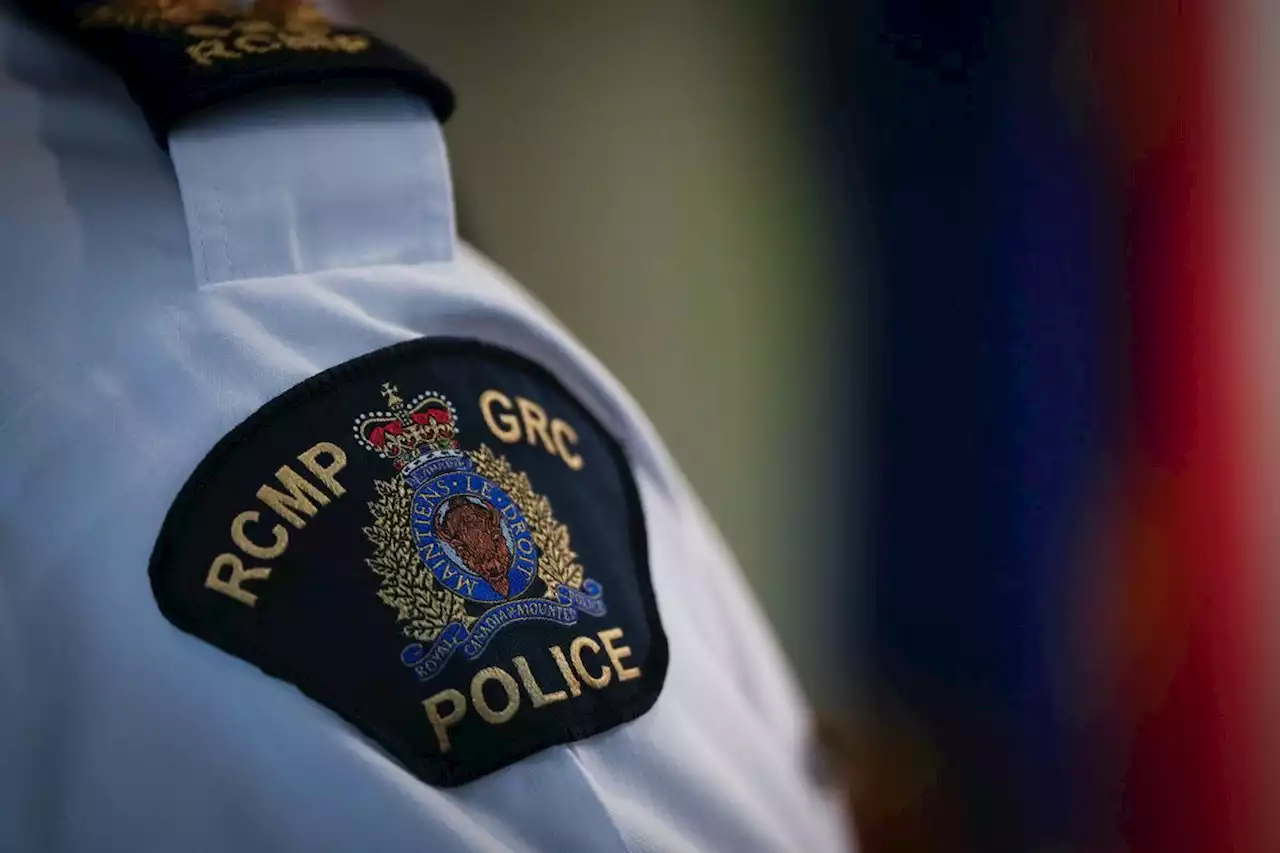 Police launch tip line in missing B.C. children’s alleged abduction