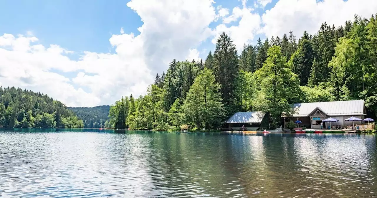 Tipps für Wanderungen und Ausflüge in Viechtach und Umgebung