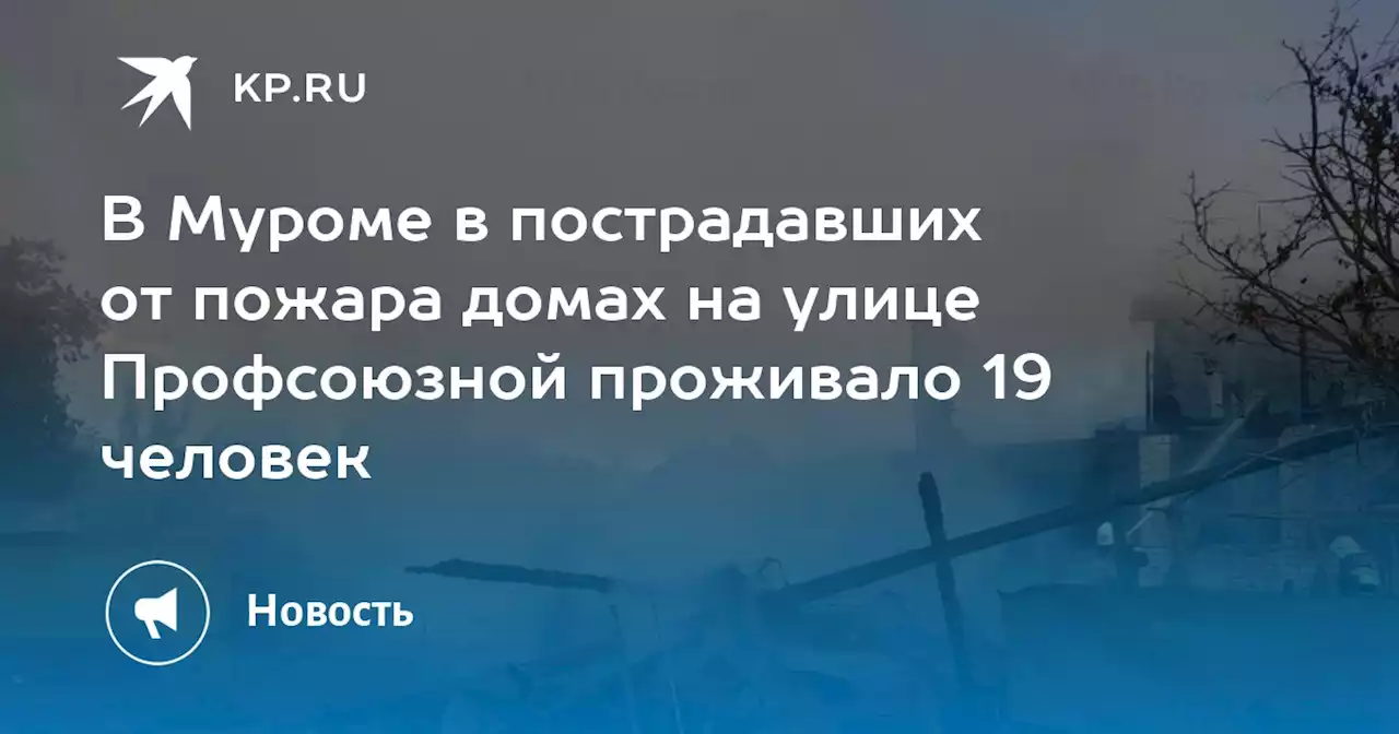 В Муроме в пострадавших от пожара домах на улице Профсоюзной проживало 19 человек