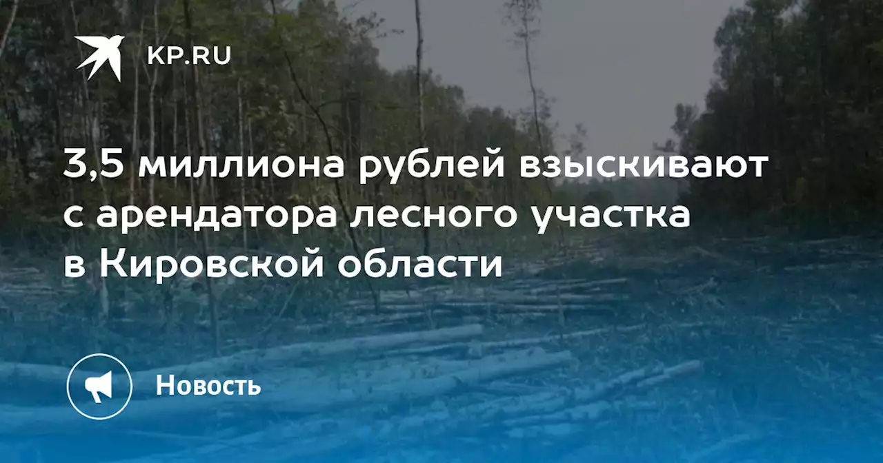 3,5 миллиона рублей взыскивают с арендатора лесного участка в Кировской области