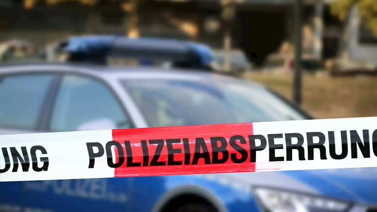 Horror-Unfall: Auto rast bei Show in Menschenmenge