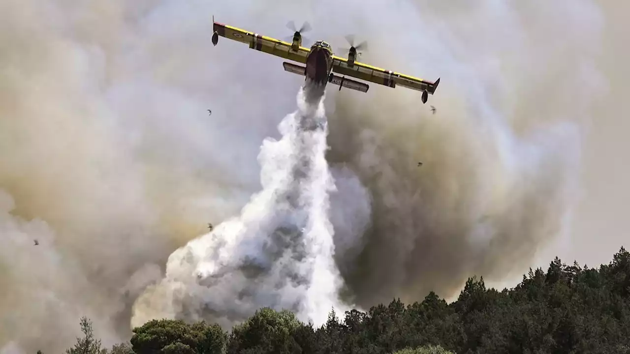 Waldbrände: Hunderte Urlauber auf Rhodos evakuiert