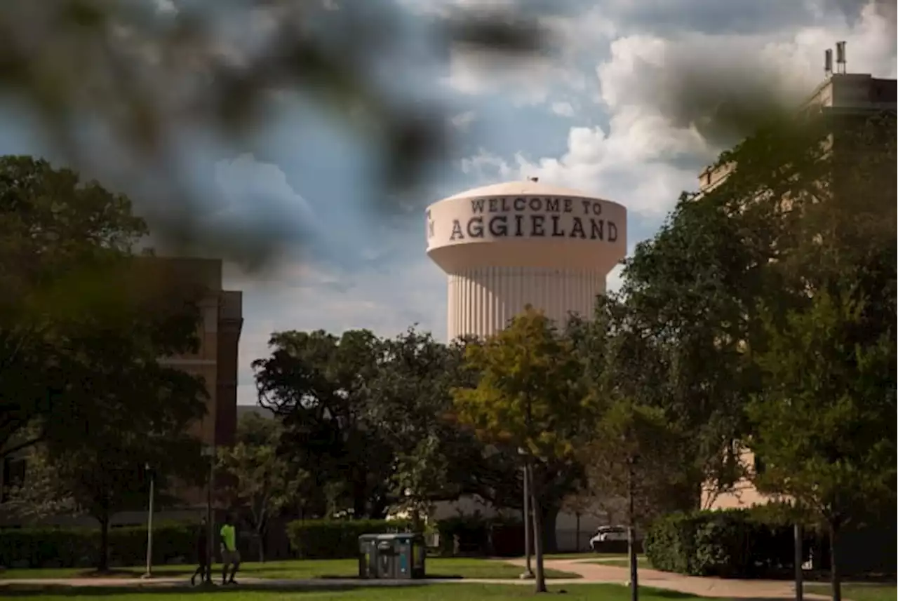 For Black Aggies, questions over professor’s botched hiring persist after president’s departure