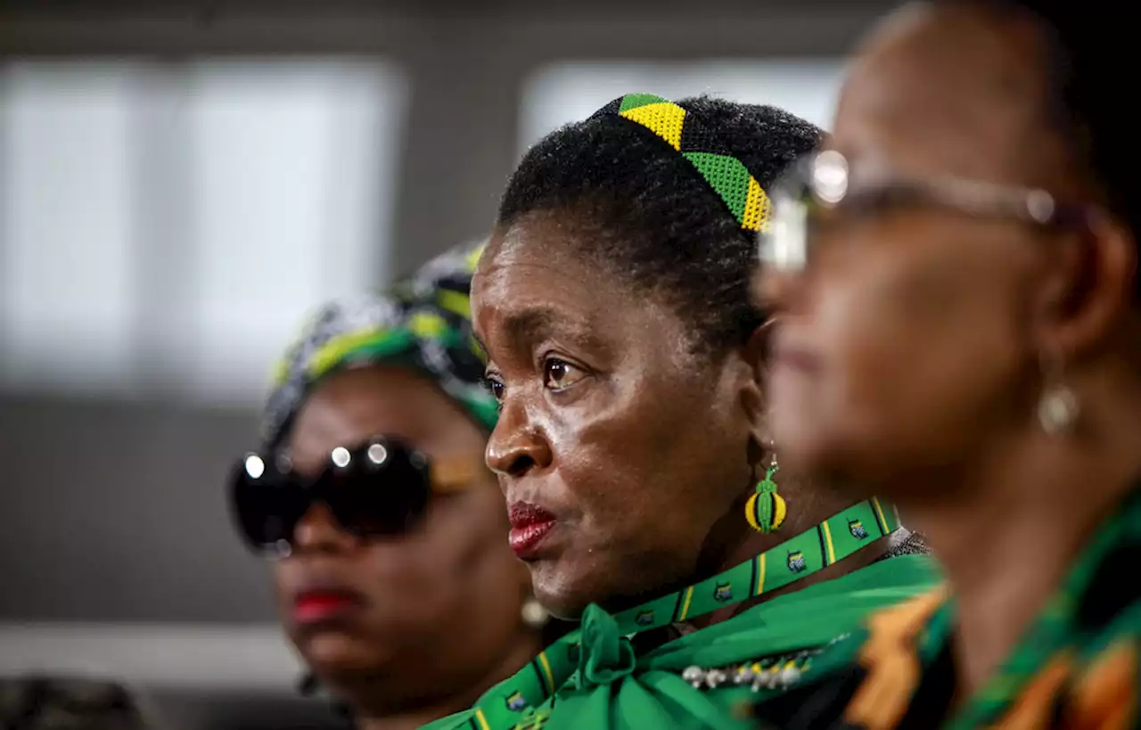 ANCWL: Last minute horse-trading could see Mchunu and Dlamini camp merger