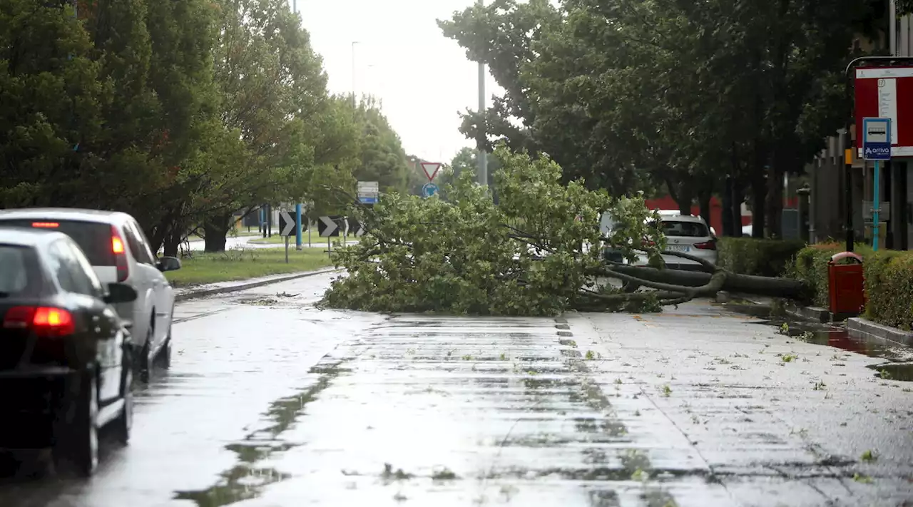 Maltempo, nubifragio vicino a Cremona: maxi-grandinata e blackout