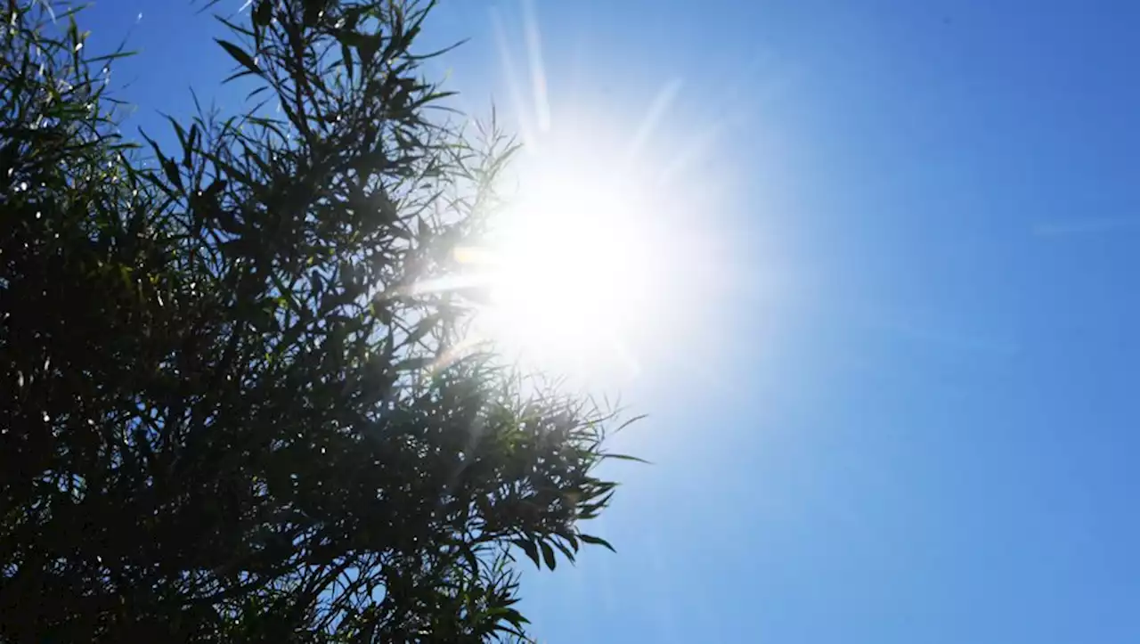 Alerte météo : un département en vigilance orange à la canicule, du soleil dans le Sud-Est… les prévisions de ce 22 juillet