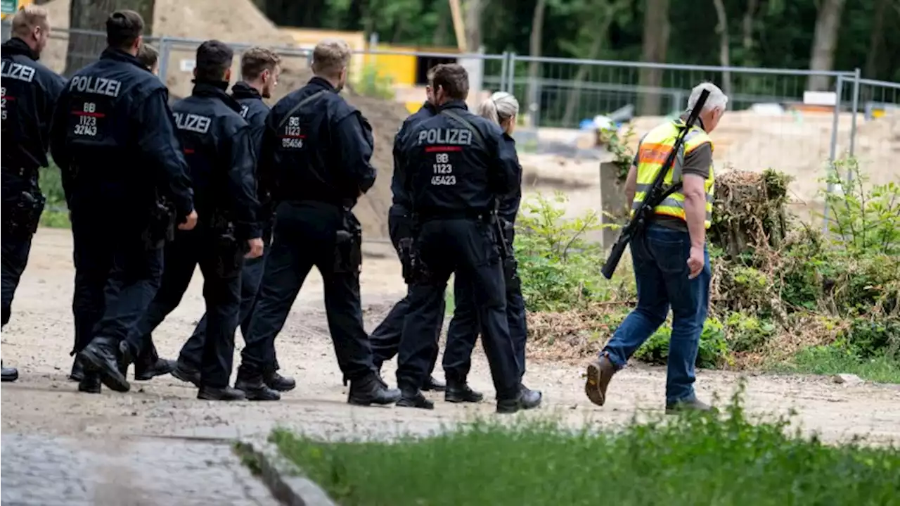 Landesinnenminister verteidigt Löwensuche