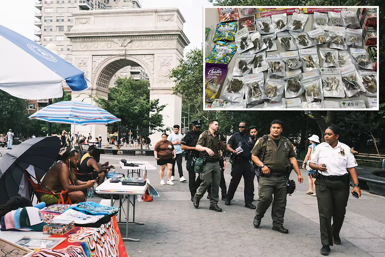 Cops crack down on mushroom sales in NYC’s Washington Square Park